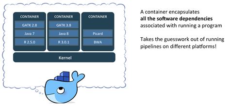 Find out a container's name or id with the docker ps command Docker/container overview - Terra Support