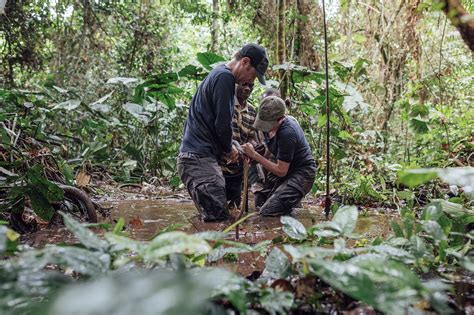 Guest Post A Plan To Solve The Mysteries Of Congos Vast Tropical