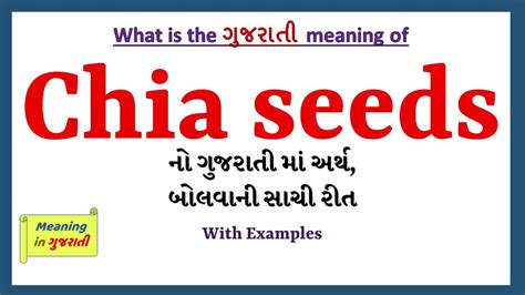 Chia Seeds Meaning In Gujarati Chia Seeds નો અર્થ શું છે Chia Seeds