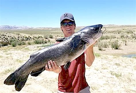 Biggest Catfish Records In The Us ⋆ Outdoor Enthusiast Lifestyle Magazine