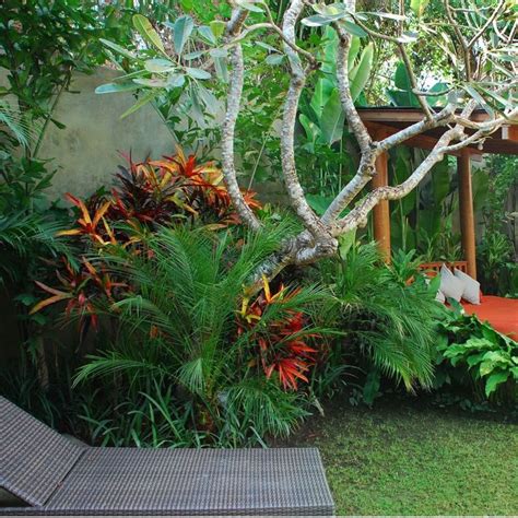 Image Result For Bali Style Garden Tropical Garden