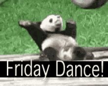 I didn't realize it was friday, said no teacher ever! Friday GIFs | Tenor