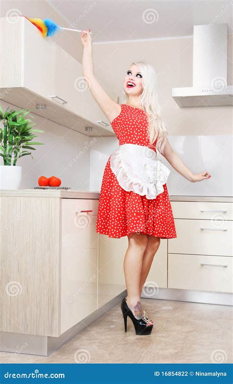 femme au foyer gaie dans la cuisine photo stock image du housewife poussière 16854822