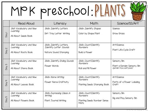 Preschool Plants Plans And Printables Mrs Plemons Kindergarten