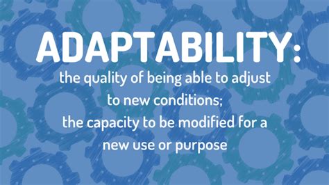 The Importance of Adaptability | Amplified Digital Agency