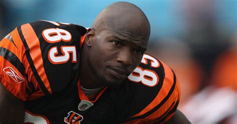 Chad Ochocinco Will Cincinnati Bengals New Coaches Welcome Me