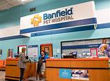 Banfield Pet Hospital Portland Or Images