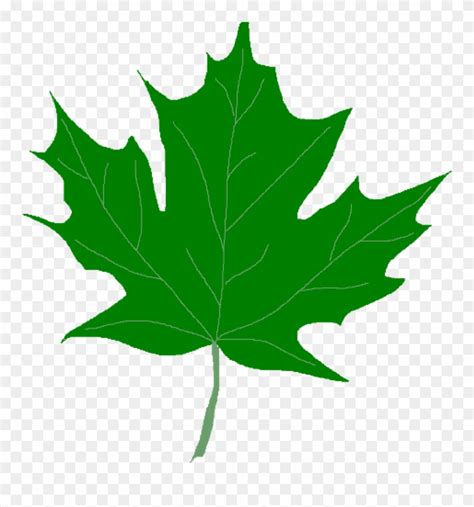 Download Green Leaf Clipart Green Maple Leaves Clipart Clip Clip Art
