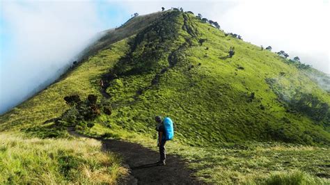 5 Tips Mendaki Gunung Bagi Pemula Erabaru Or Id