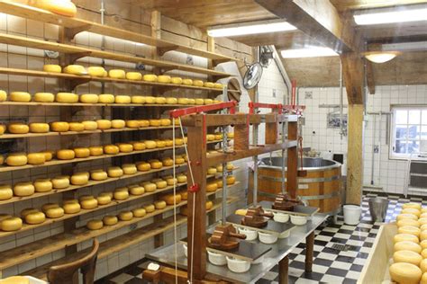 Сырный фестиваль-2018 откроется 7 июля в экопарке «Ясно поле»