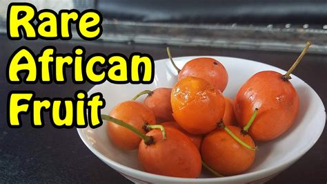African Mangosteen Review Imbe Fruit Weird Fruit Explorer Ep 372