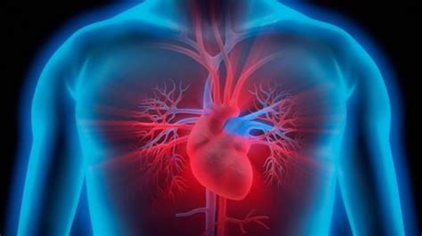 Sie entsteht oft infolge eines verschleppten, grippalen infekts. Herzmuskelentzündung (Myokarditis): Risikofaktoren ...