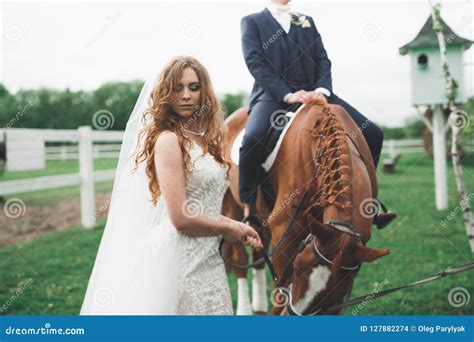 Newly Married Wedding Couple Stand With Beautiful Horse On Nature Stock