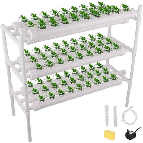 Vegetables Growing In Hydroponic Kits