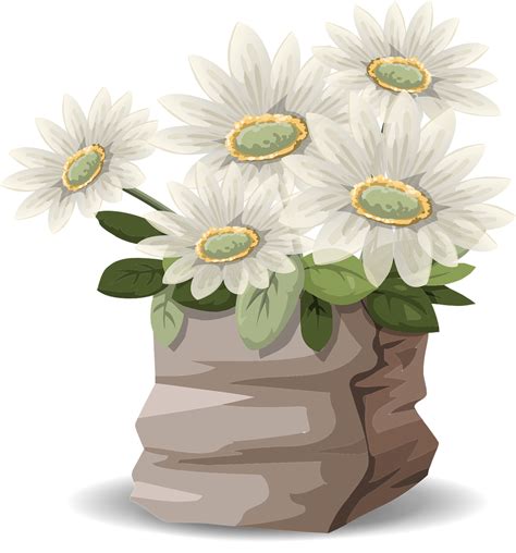 Flowers Daisies Bouquet White PNG Picpng