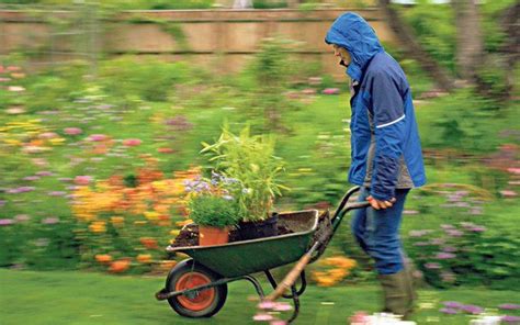 What Do Gardeners Do In The Rain Gardening In The Rain Advice And