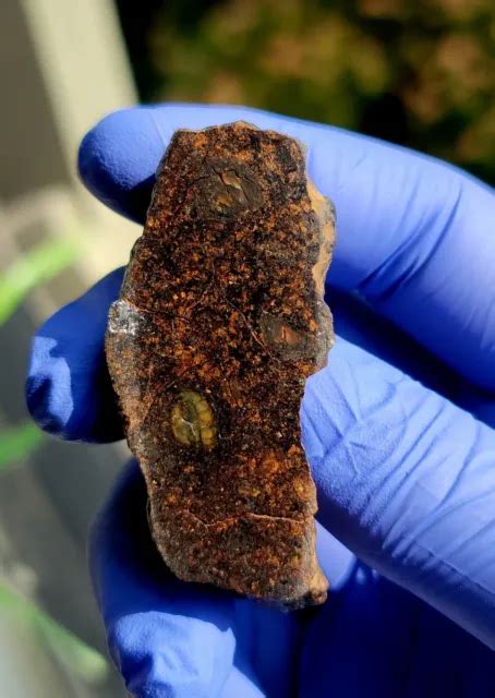 Meteoritenwa 14922 Mesosiderite41936 Gram Endcut Rare Weucrite