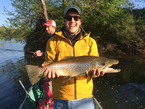 265 Inches 8lbs And Probably The Biggest Trout Ill Ever Catch