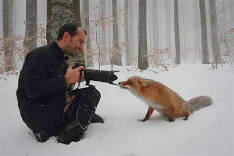 20 Pictures Showing That Nature Photographers Have The Best Jobs Ever