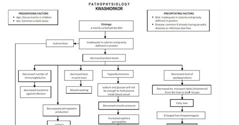 Pathoshoppe Pathophysiology Kwashirkor