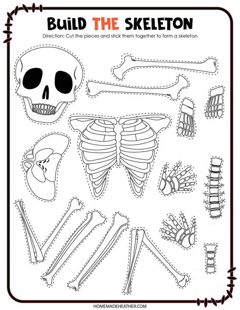 Free Build A Skeleton Printable Cooperative Learning Activities Free