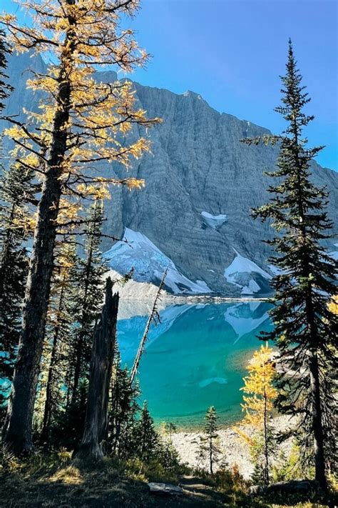 Floe Lake Ultimate Hiking And Camping Guide