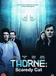 Thorne: Sleepyhead - Película 2010 - SensaCine.com