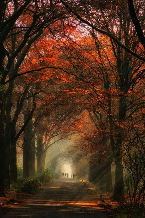 Beautiful Path ~ Pho Expression Expression Venusia In