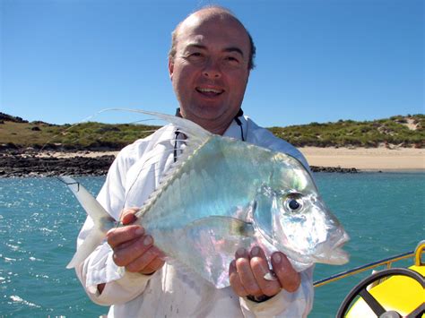 The giant trevally (caranx ignobilis) is a powerful oceanic predator fish also known as the gt for short. Target Trevally - Diamond when you Fly Fish in Australia