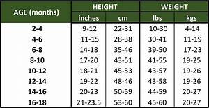 When Do Huskies Stop Growing Growth Chart And Size Guide 2023