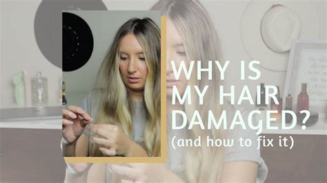 Why Is My Hair Damaged How To Fix Damaged Hair Shannon Teyler Youtube