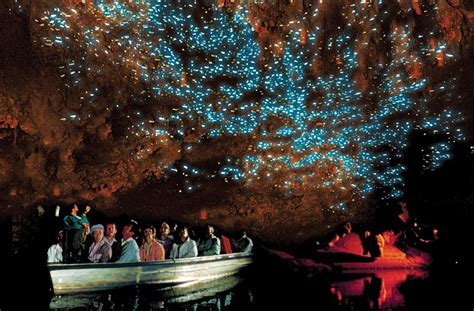 画像6枚目： 【ニュージーランド】ワイトモ・グロウワーム鍾乳洞の土ボタルがまるで満点の星空！｜ Taptrip
