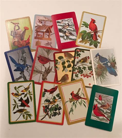 Bird Swap Cards 13 Vintage Playing Cards Birds Great Mixed Etsy