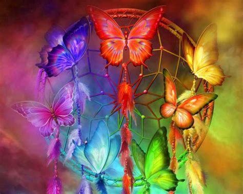 Rainbow Butterfly Hd Wallpapers 09661 Baltana