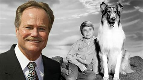 Il Piccolo Timmy Di Lassie Rivela Il Segreto Del Cane Più Famoso Della