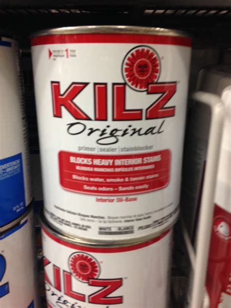 painting over mold with kilz - Hyacinth Brink