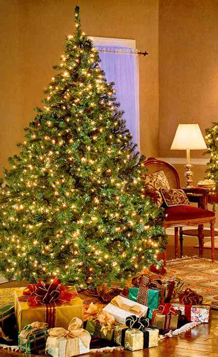 Bethlehem Lights Pre Lit Christmas Tree —