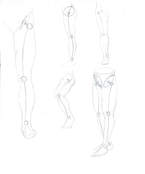 24 Anatomy Female Body Drawing Alikialaster