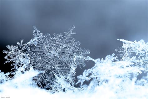 Wallpaper Snowflake Blue Winter Snow Ice Beautiful Shapes Lumi