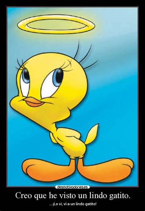 Imagenes De Piolin Tweety Con Frases Para Bajar ⭐ Descargar Imagenes