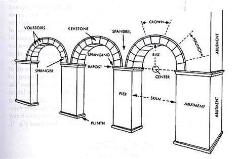 Chapter 10 Section 1 Classical Greece And Rome The Ancient Greeks