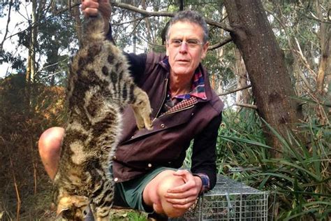 Australias War On Feral Cats Shaky Science Missing Ethics