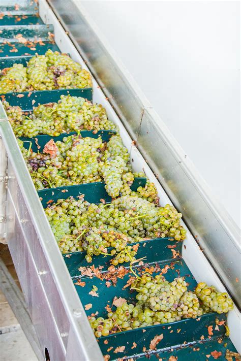 Premium Photo Modern Winery Machine With Grapes Process Of Crushing