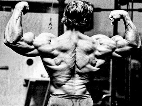Best Back Exercises Arnold Schwarzenegger Version Fitness Volt
