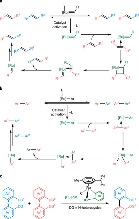 Metathesis Reactions Of Carbon−carbon Double And Single Bonds A The