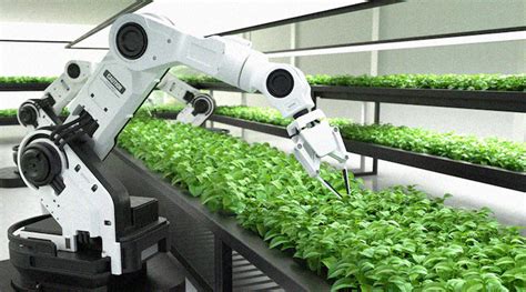 Ai Powered Farming Is The Future Of Food Production