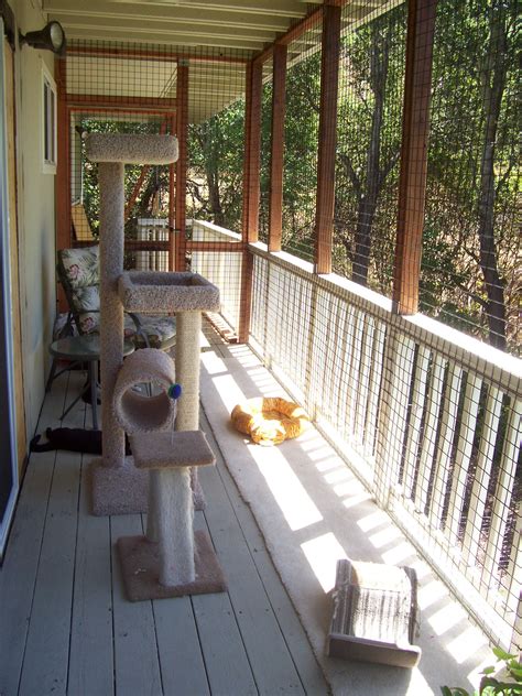 Sally's Cat House - An outdoor enclosure for rescued cats ...
