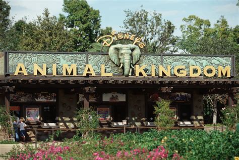 Disneys Animal Kingdom Wallpapers Wallpaper Cave