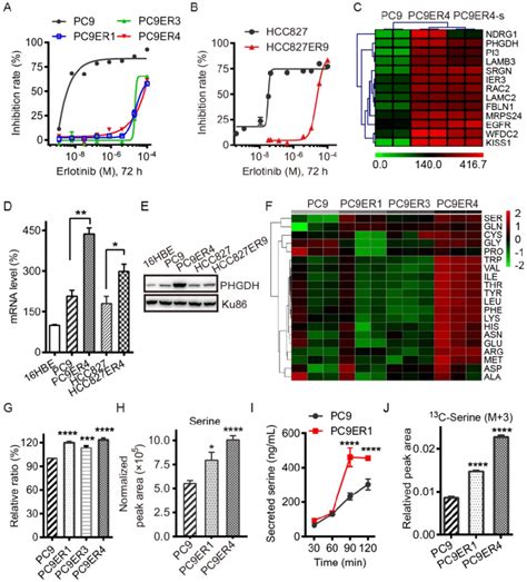 Acquired Resistance To Erlotinib Requires Higher Phgdh Level To De Novo