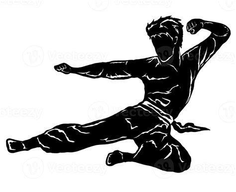 Karate Silhouette Png Hd 9638125 Png